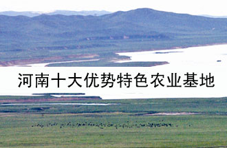 8月19日，河南省政府發(fā)布了關于深入推進農(nóng)業(yè)供給側(cè)結(jié)構性改革 大力發(fā)展優(yōu)勢特色農(nóng)業(yè)的意見